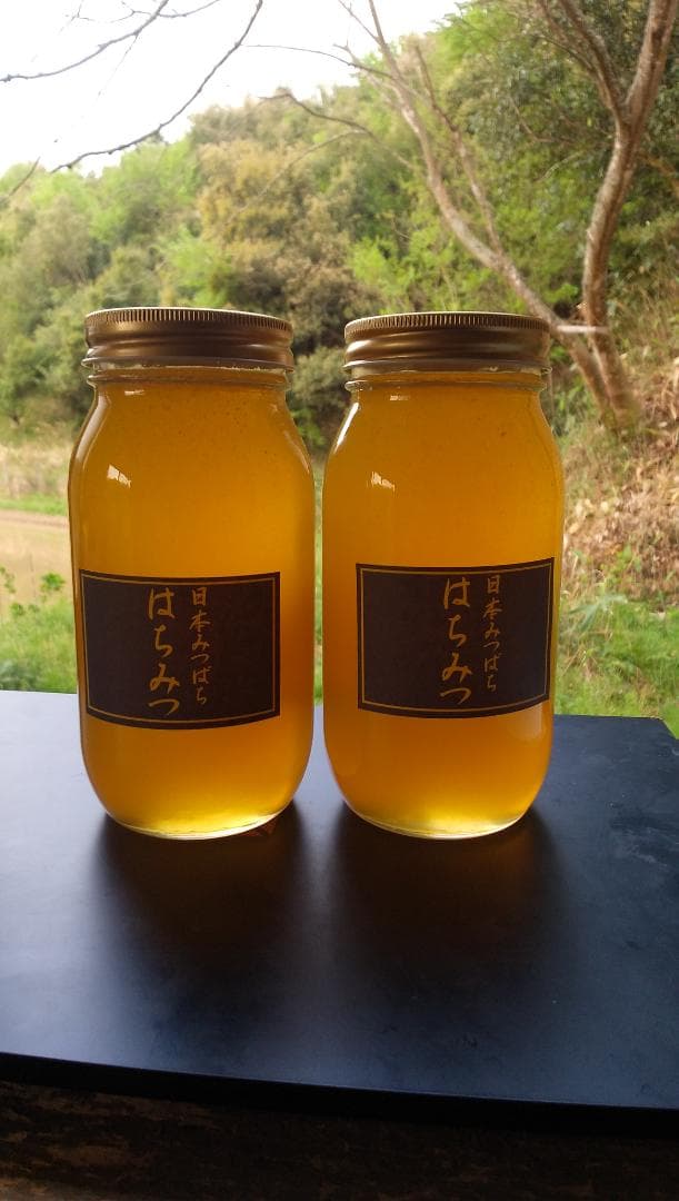 ニホンミツバチ百花蜜　1000ｇ２本