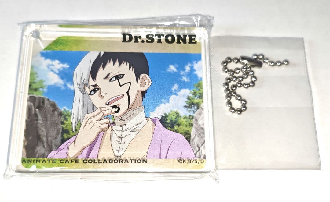 Dr.STONE あさぎりゲン CoLotta アニメイトカフェ 夏