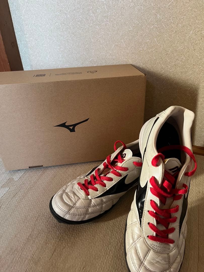 シューズ Mizuno Morelia TF 25.0