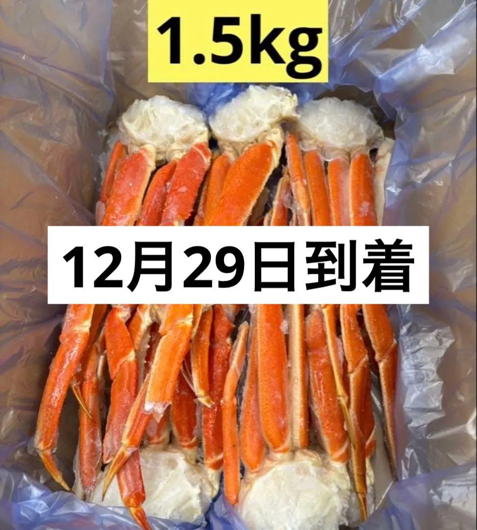 【12月29日到着希望】みに 1.5kg