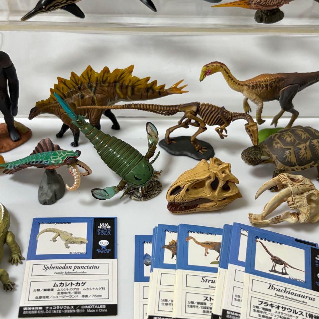 超リアルな恐竜・古代生物フィギュア チョコラザウルス UHA味覚糖 まとめ