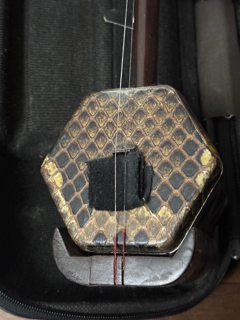 【中国 蘇州製】二胡 本体＋弓＋ケース付き｜伝統民族楽器・初心者〜趣味用