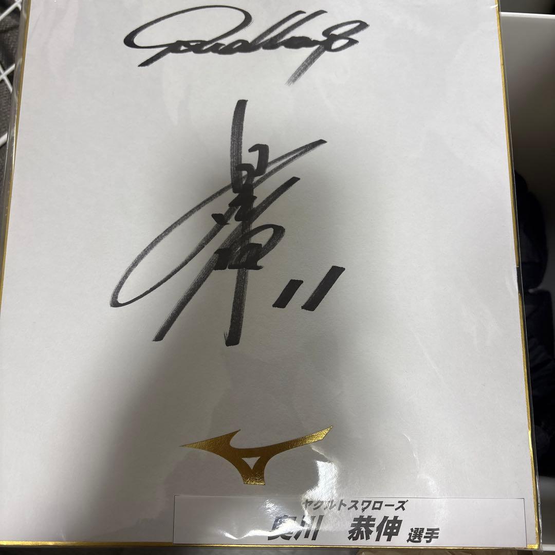 奥川　サイン　ヤクルトスワローズ