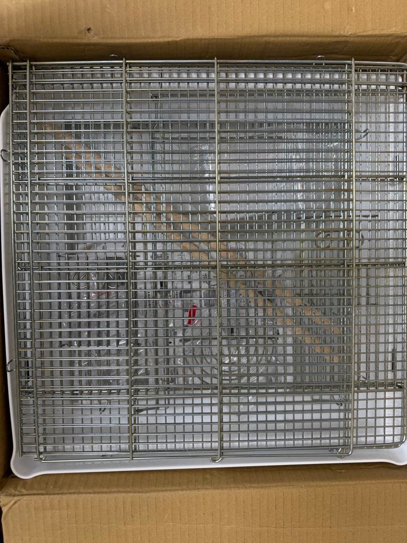 HOEI 465インコ手のり 底カラー：ホワイト