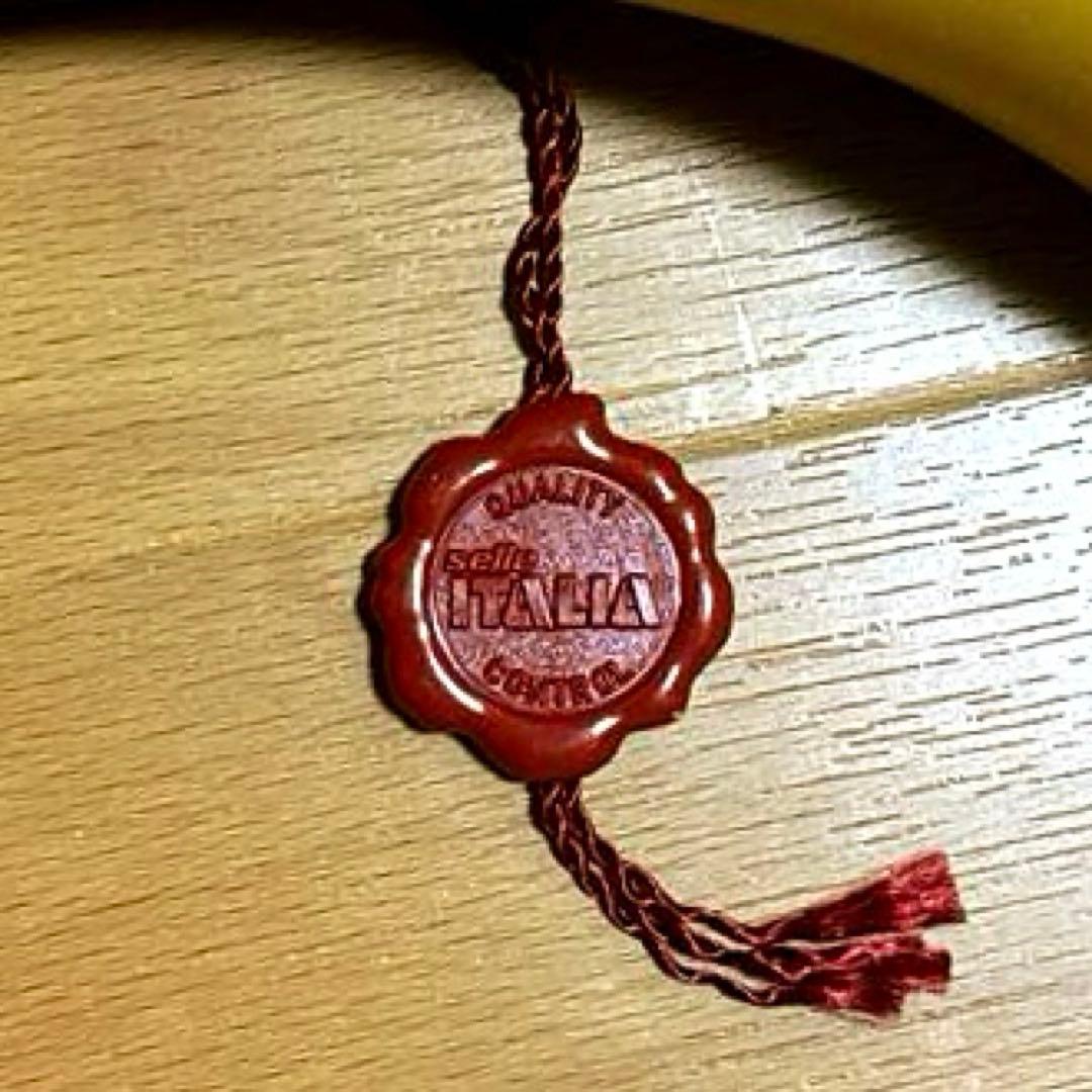 希少!!Selle ITALIA turbo Special レディース サドル