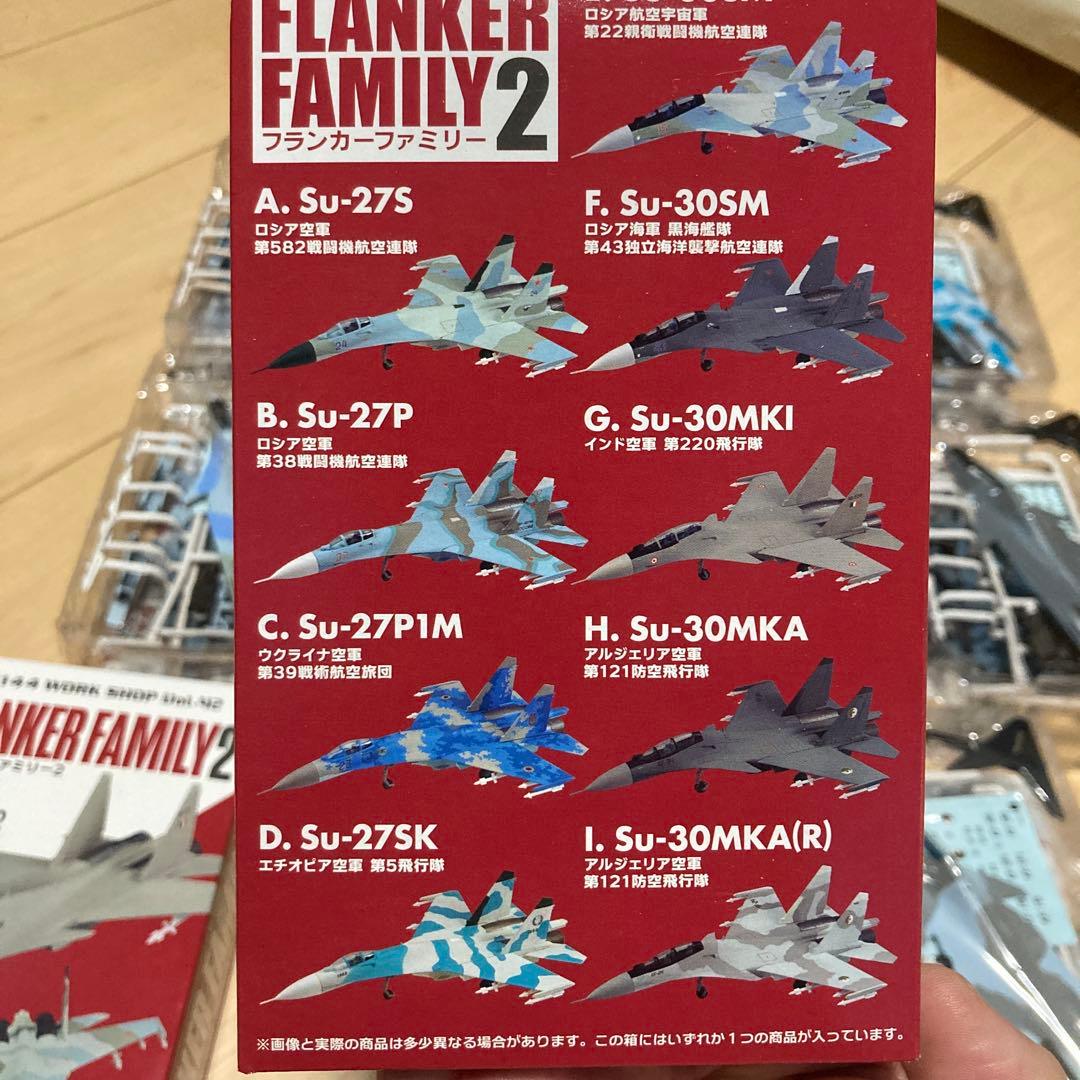 エフトイズ　フランカーファミリー2