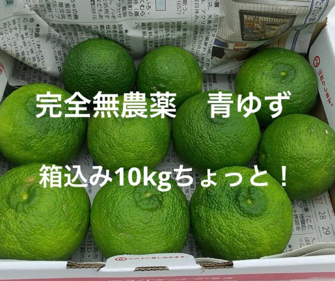 完全無農薬　青ゆず　青柚子　箱込み10kgちょっと入ります！