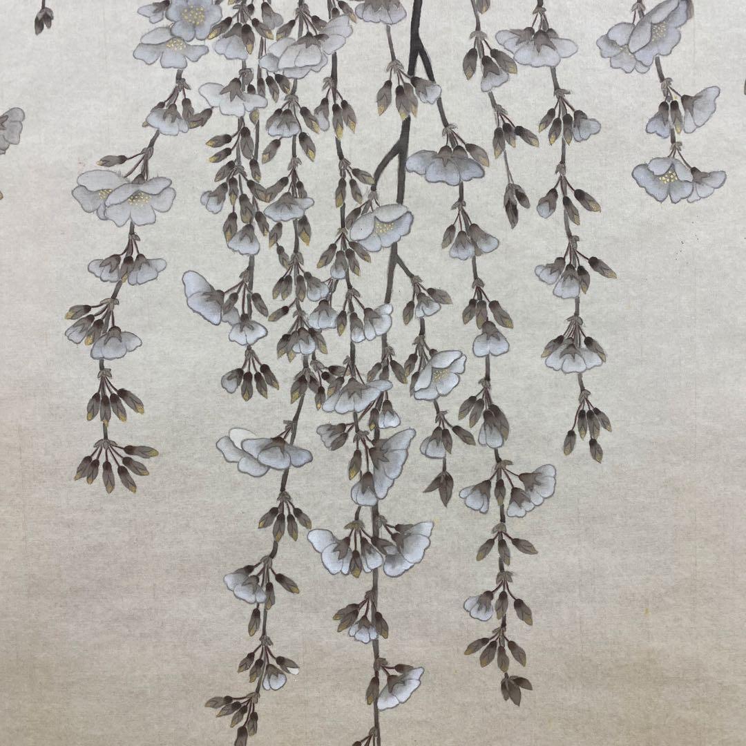 美品 掛け軸 二村絢子作 大幅 しだれ桜図 共箱 縁起物 枝垂桜