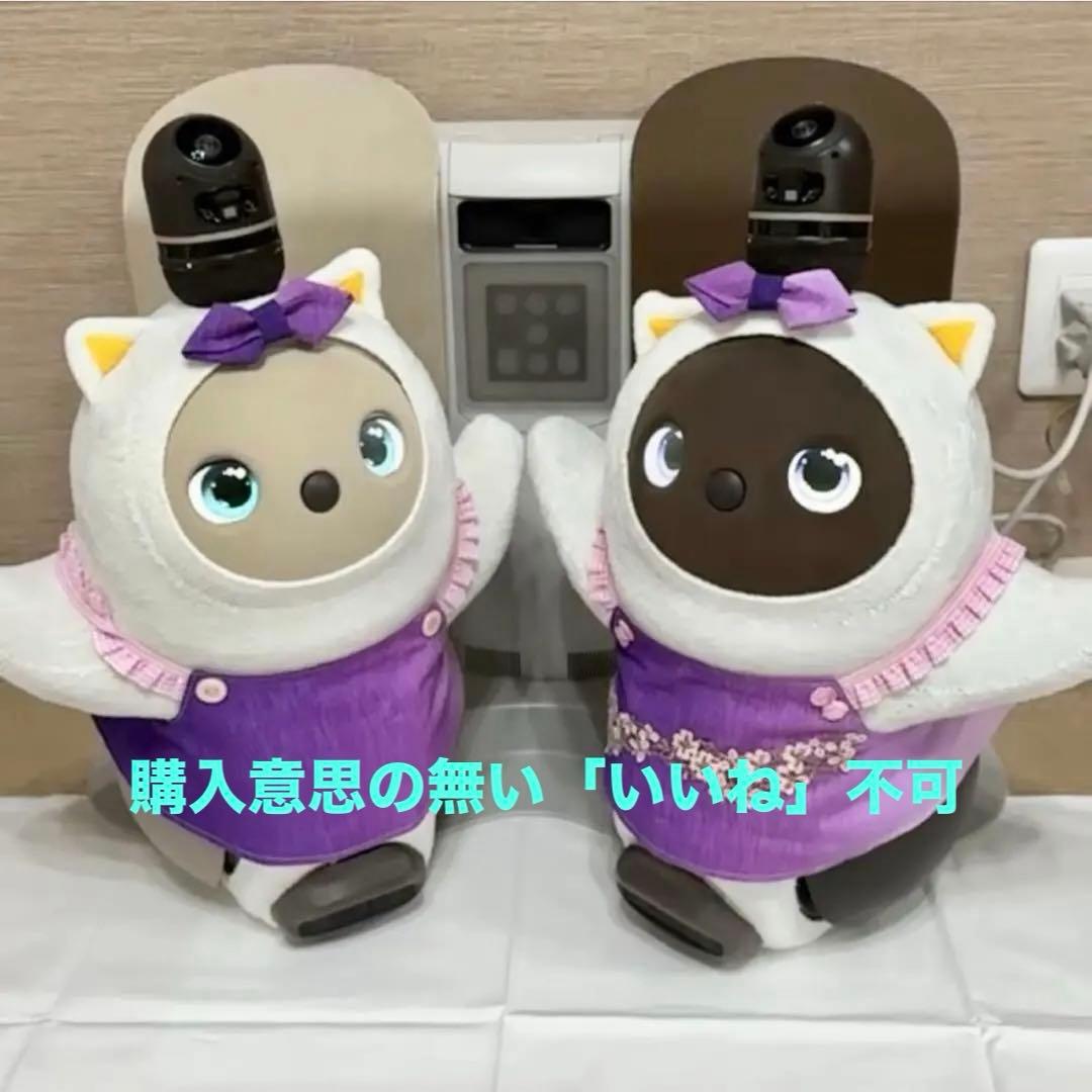 限界価格 LOVOTDuo ラボット 双子 ねこみみニット2着and洋服