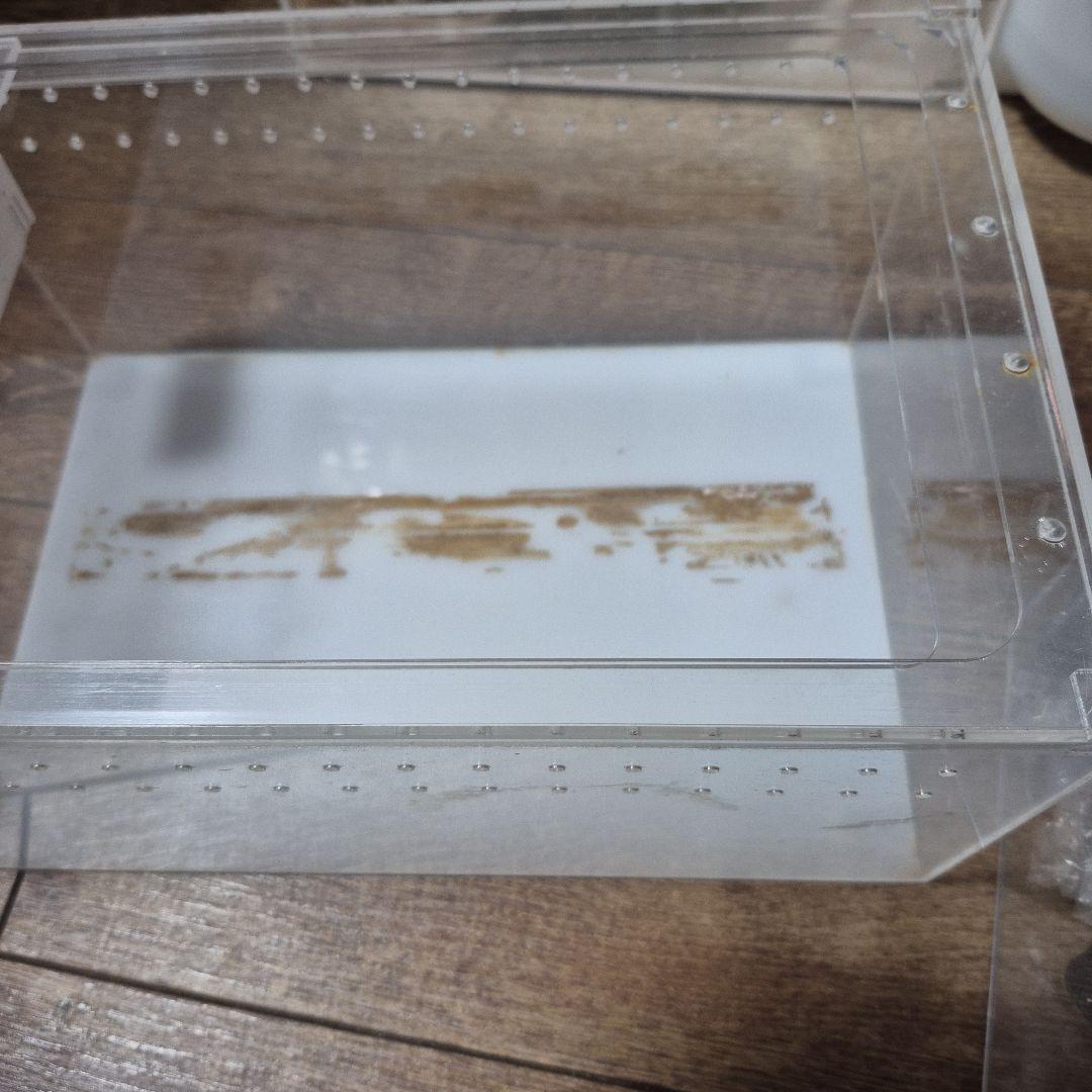 セール中 中古レプタイルボックス8個セット