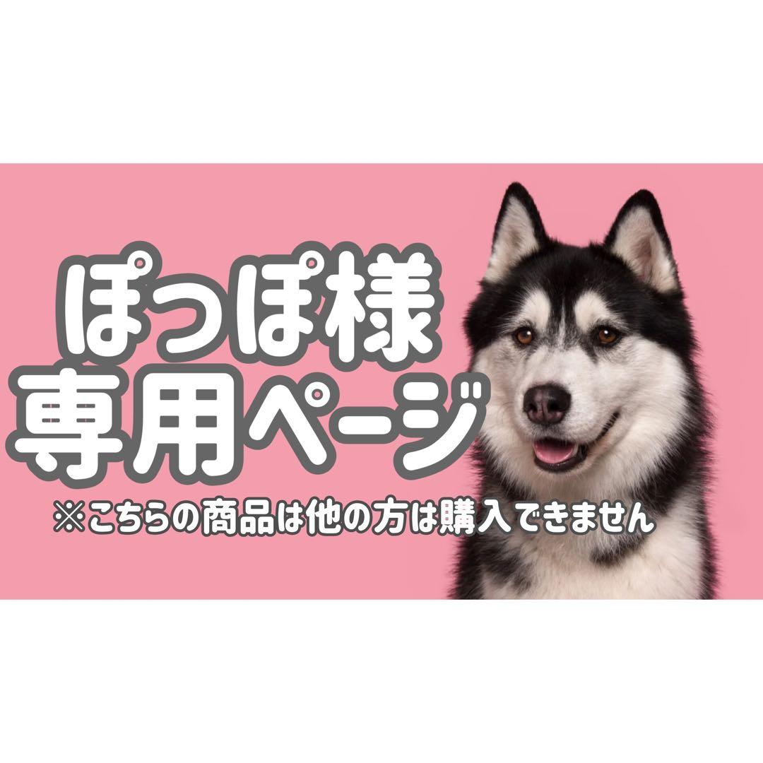 Bサ18◯● ぽっぽページ●◯