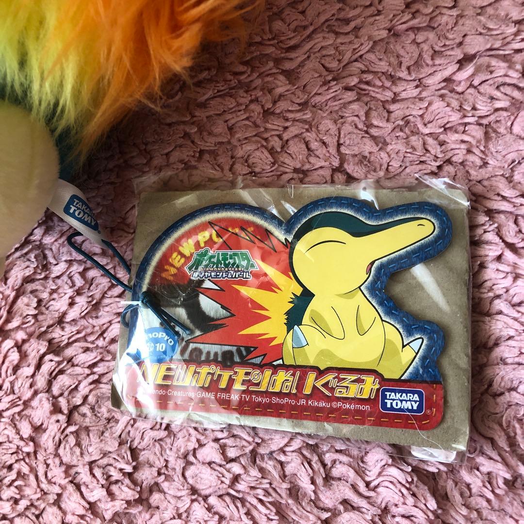 ポケットモンスター　NEWポケモン　ぬいぐるみ　ヒノアラシ