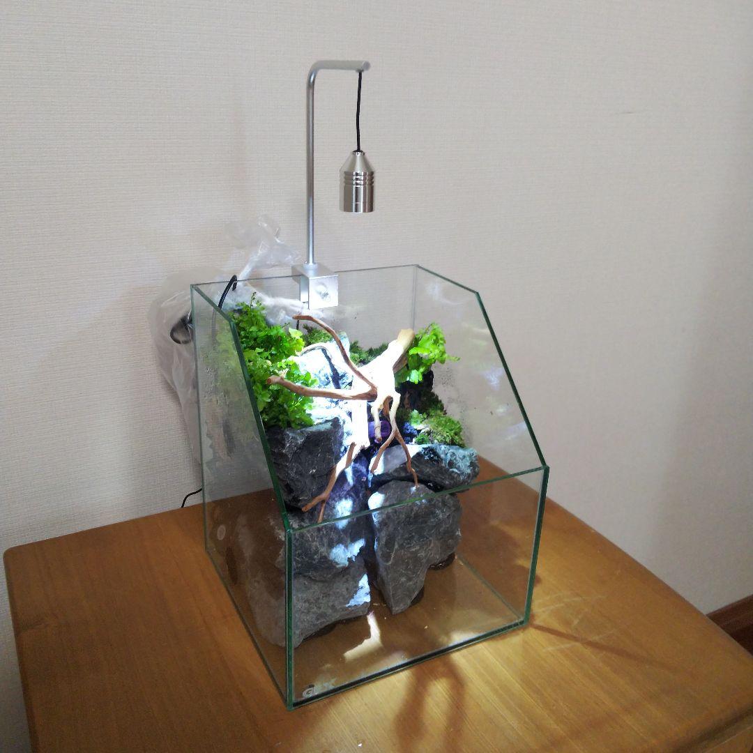 【受注生産】アクアテラリウム