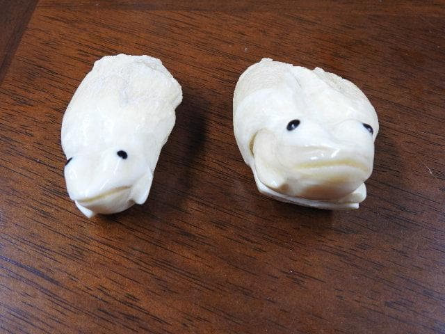 マッコウクジラ歯　カエル彫　M702