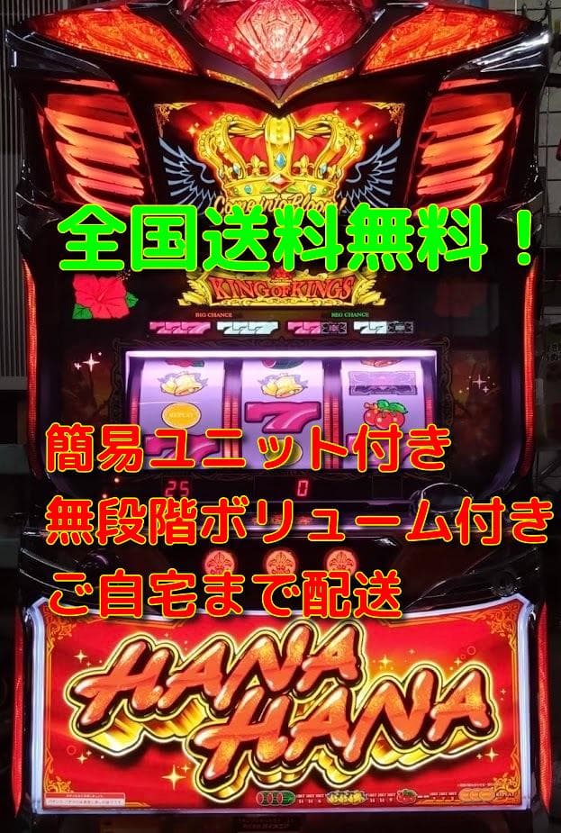 S　キングハナハナ　SP-30　実機