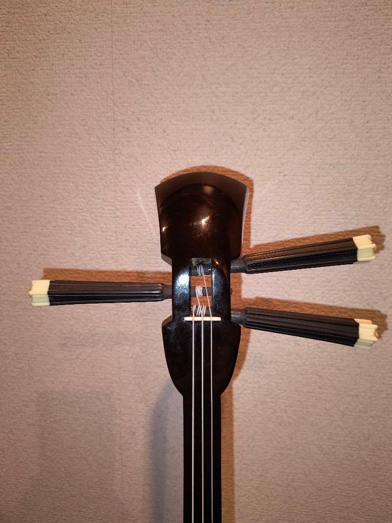 三線 本体 蛇皮 強化張り ソフトケース付き