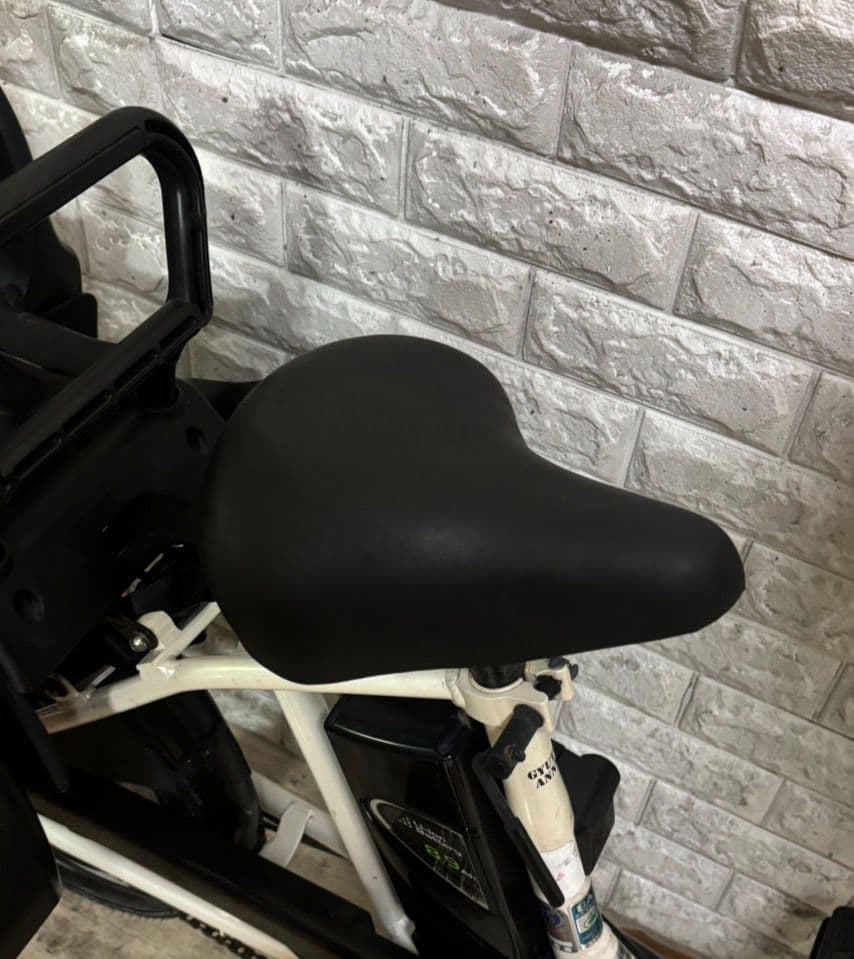 ✨美品✨室内保管✨パナソニック ギュットアニーズ　子供乗せ電動自転車