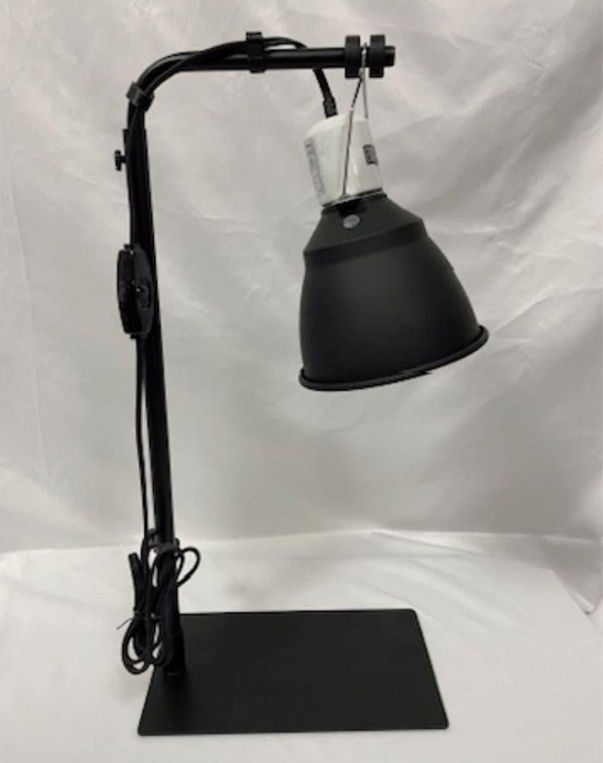 MONSOON SOLO ナチュラルテラリウム セット