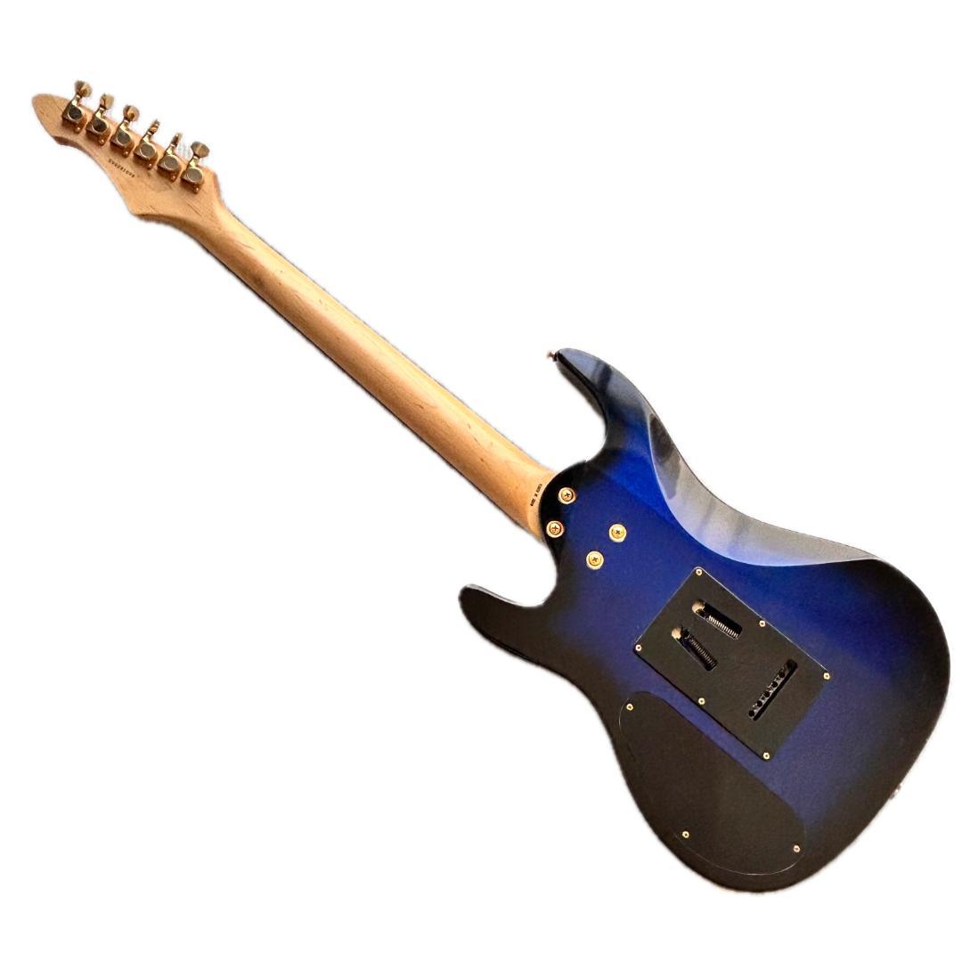 Aria Pro II ソフトケース＆トレモロ付き　送料込み