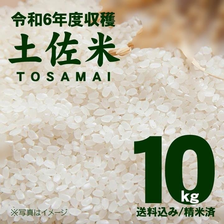 令和6年8月収穫土佐米/高知県産コシヒカリ 10kg 送料込/精米済(箱入り)