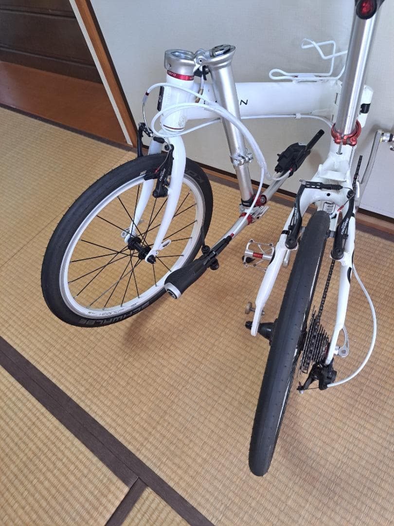 ダホン ルート10sフルカスタム　　　　　　　　DAHON ROUTE
