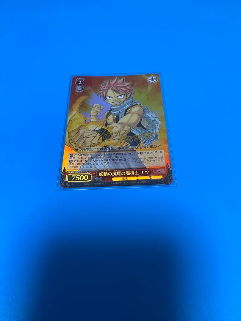 フェアリーテイルの魔導士　ナツ　サイン入り