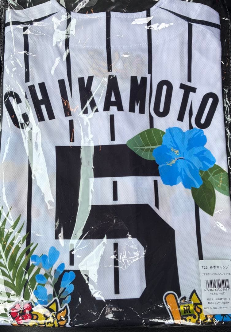 2026年　沖縄キャンプ　 阪神タイガース　近本選手 ユニホーム