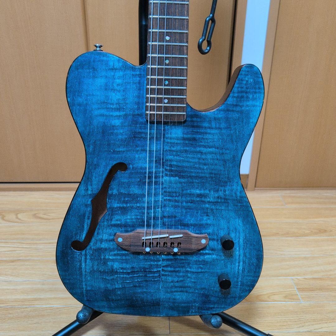 SCHECTER シェクター エレアコ