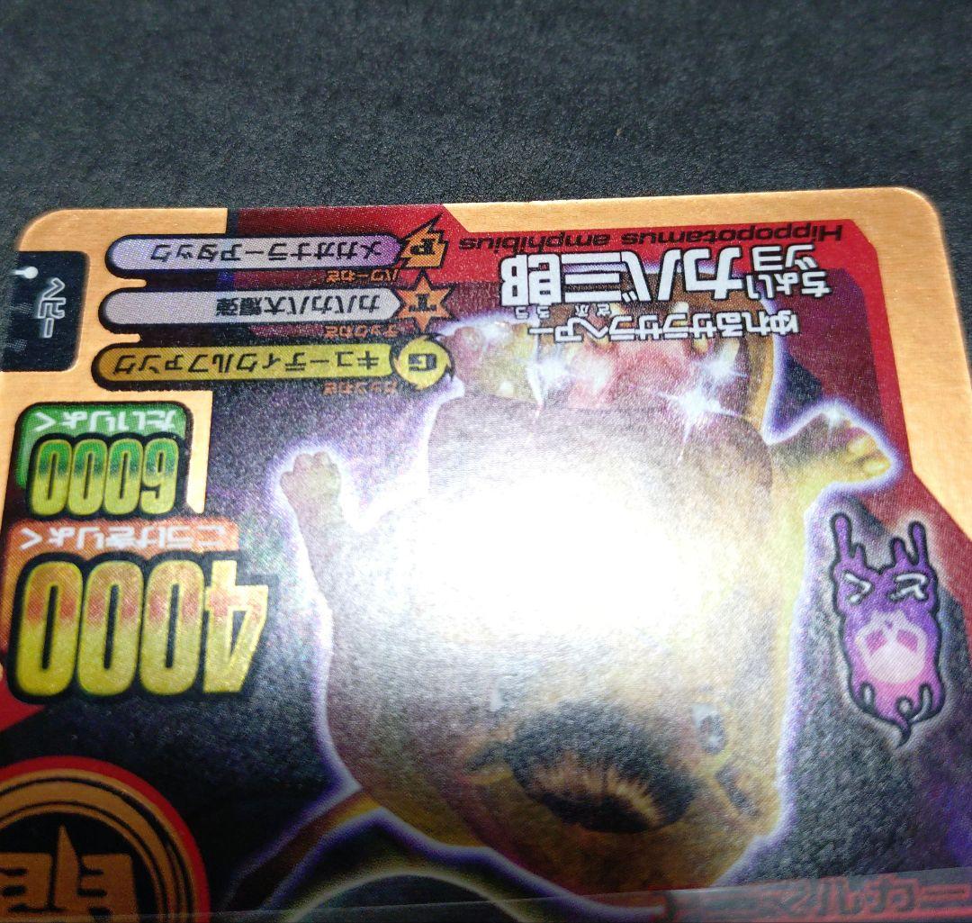 【希少】アニマルカイザーカバ兄弟ちょいワルカバ二郎／ちょいツヨカバ三郎 銅キラ