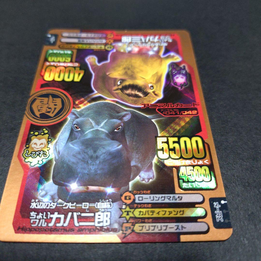 【希少】アニマルカイザーカバ兄弟ちょいワルカバ二郎／ちょいツヨカバ三郎 銅キラ