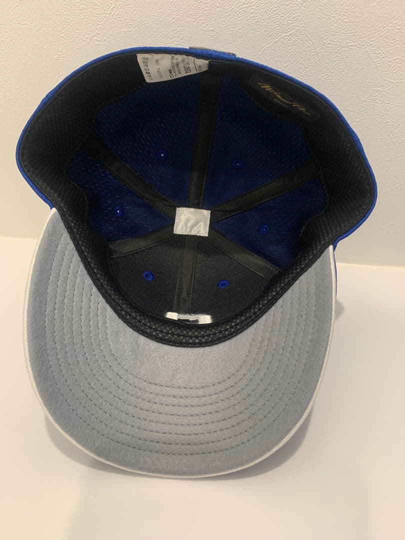 中日ドラゴンズプロコレクション帽子・NPB