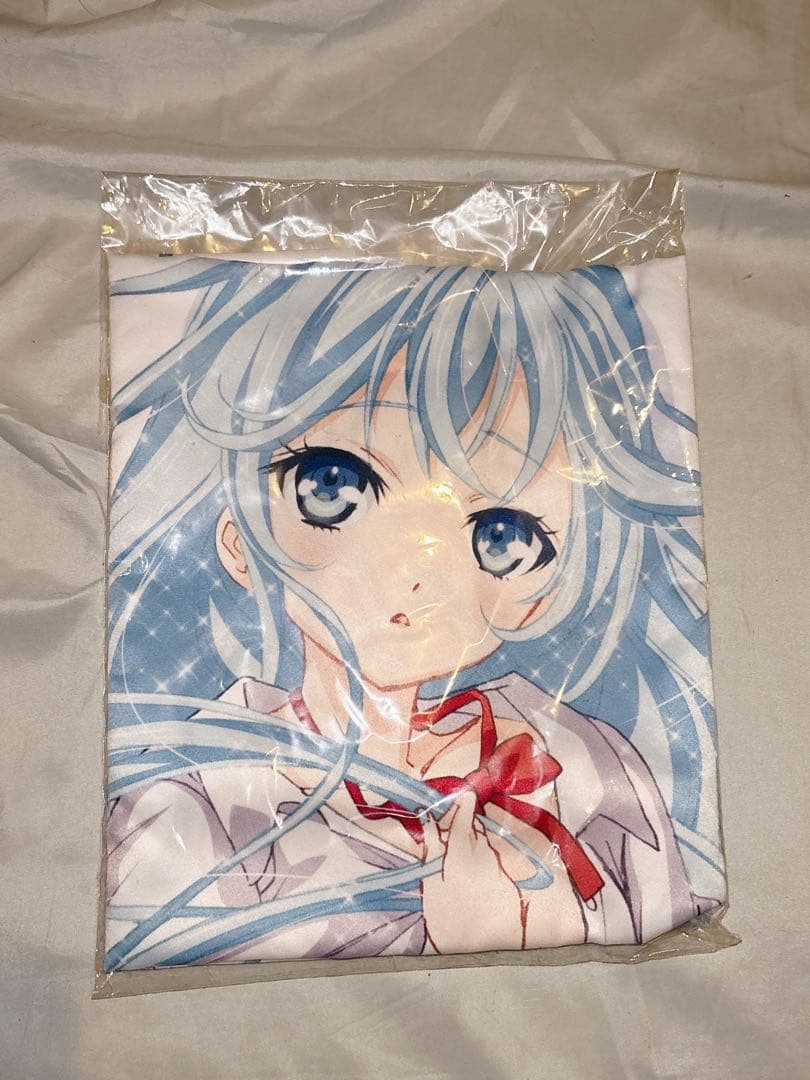 電波女と青春男 抱き枕カバー 藤和エリオ 美少女