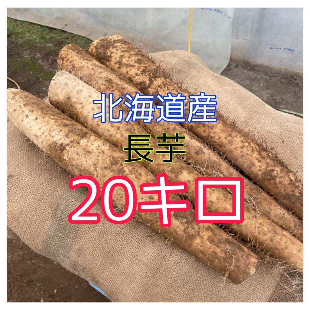 【11月3日発送】北海道産 長芋 20キロ