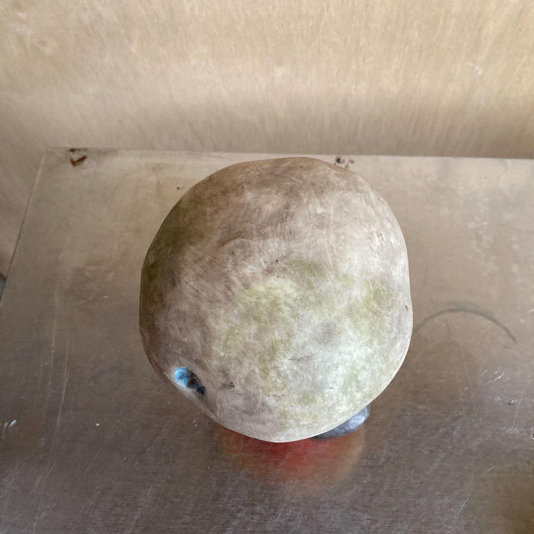 フランス　ビンテージ　毒キノコ模型　アンティーク　理科系