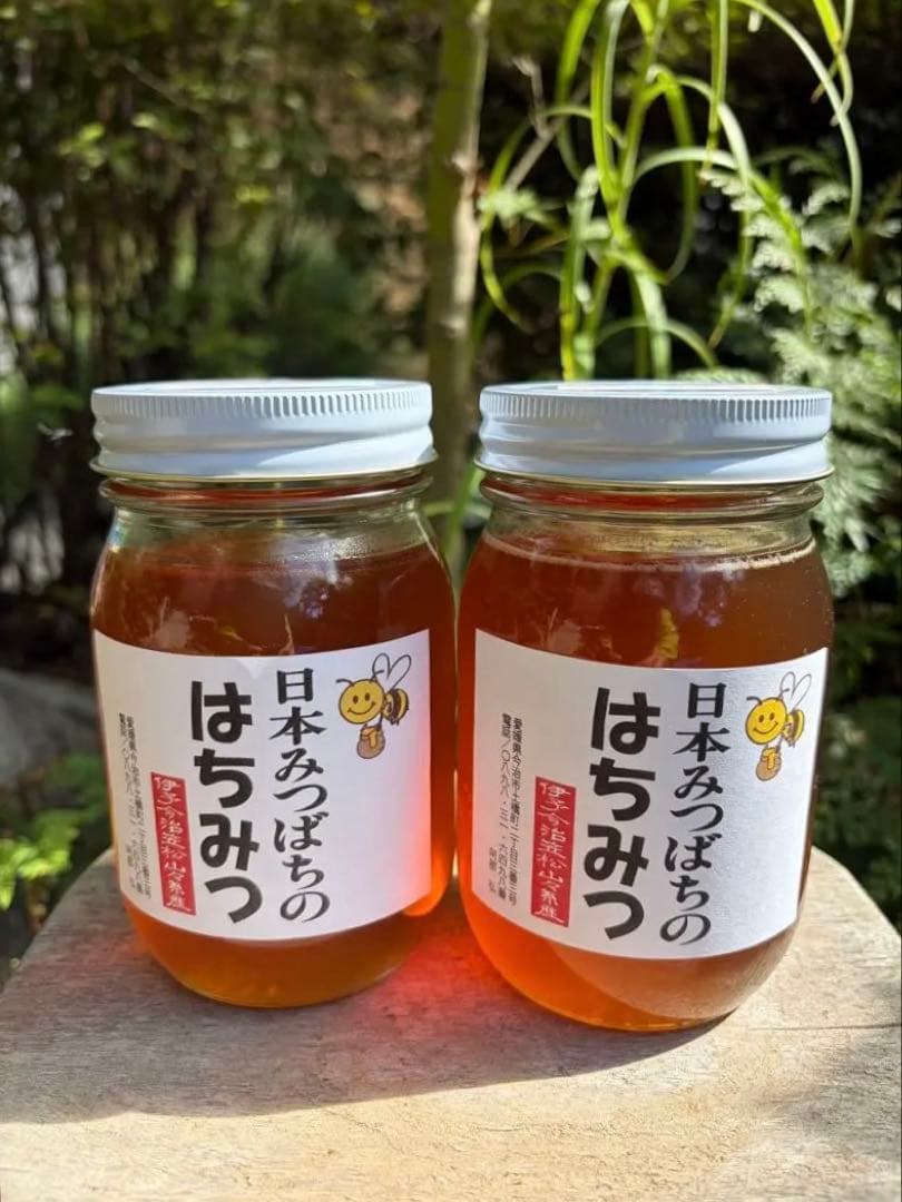 はちみつ　日本蜜蜂のハチミツ　巣箱違いの蜂蜜　奥山の奥