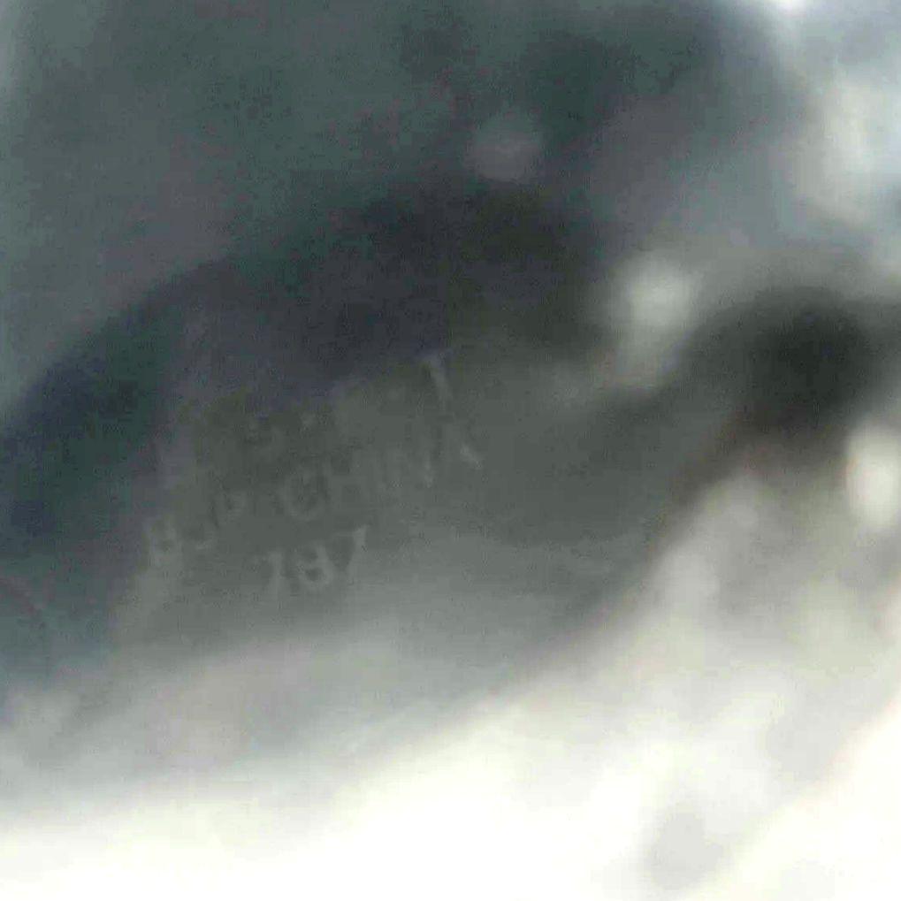 【新品未開封】一番くじ　ポルンガ　フィギュア