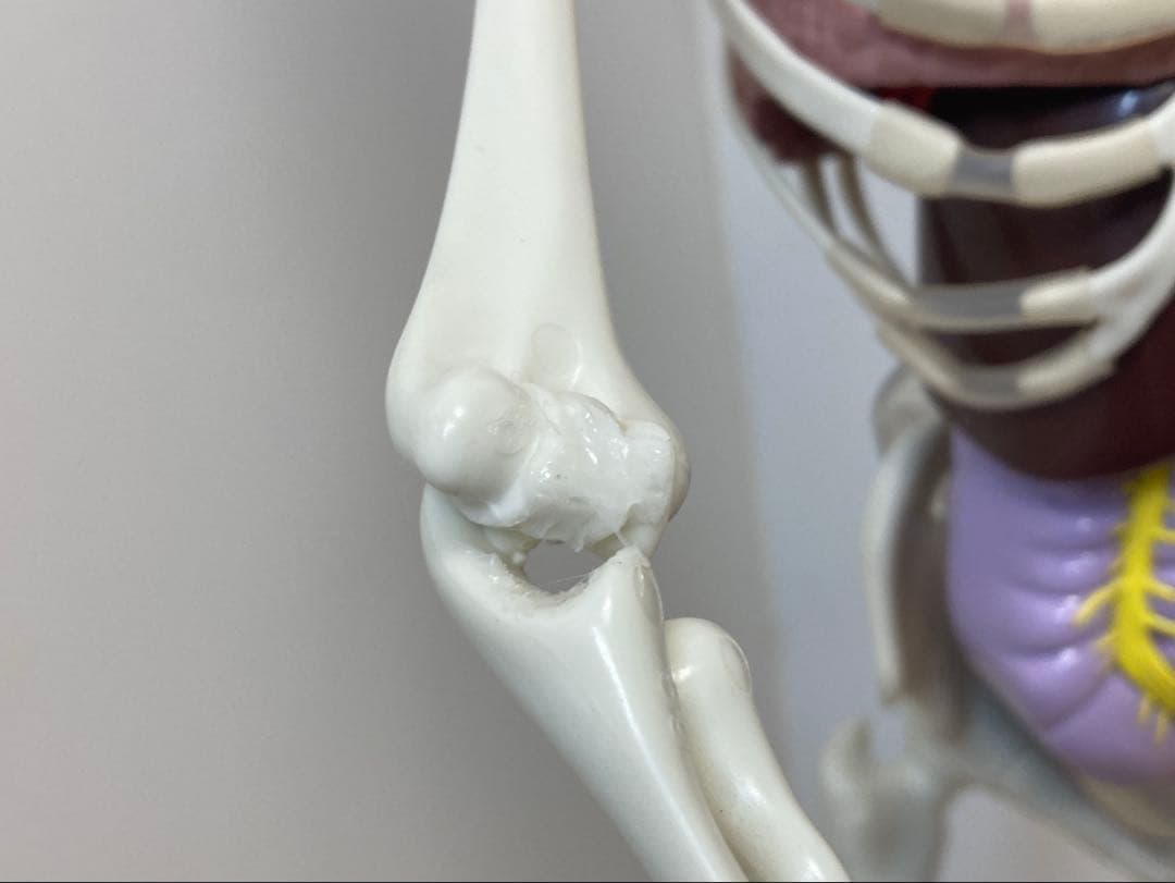 ジャンク品　デアゴスティーニ　ホネッキー