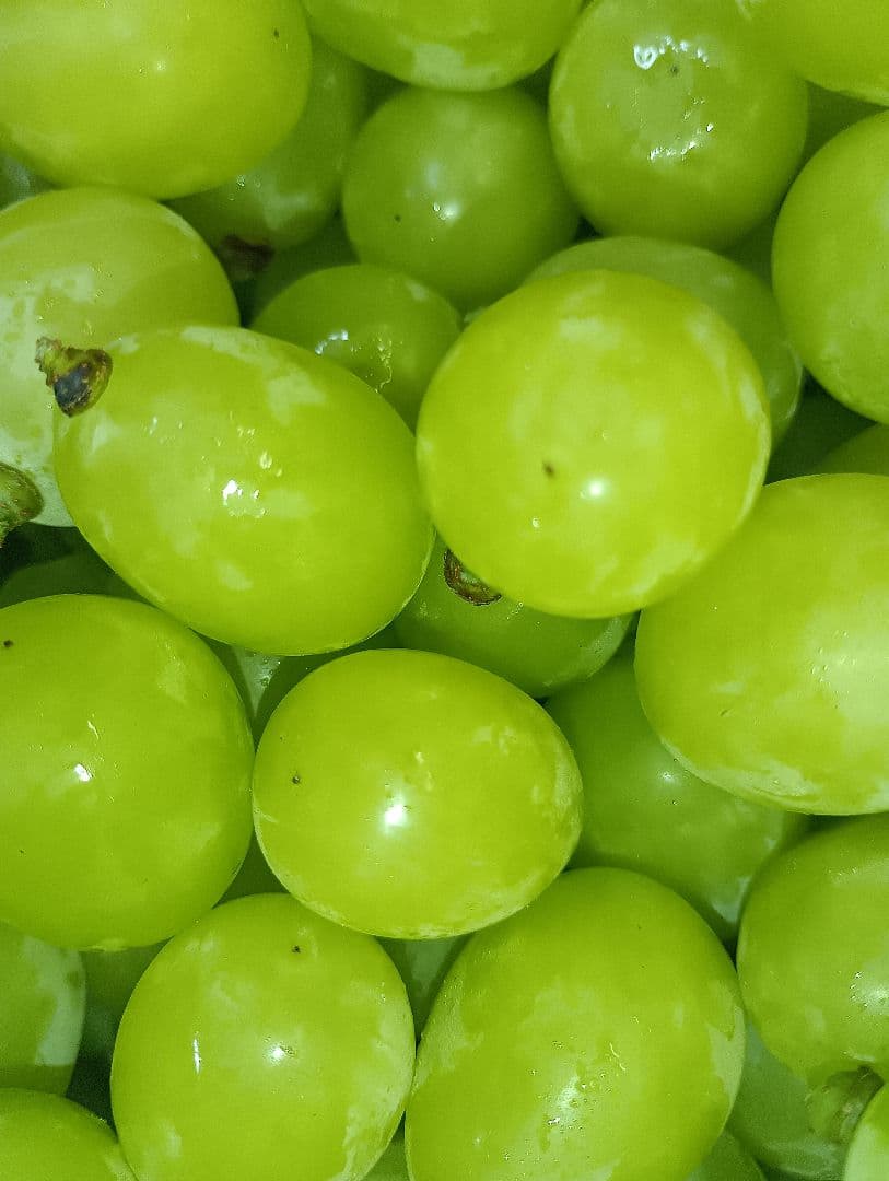 シャインマスカット大粒グリーン多め入り5キロの粒バック入りになります。