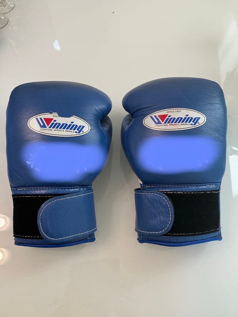 Winning ボクシンググローブ 10oz 青