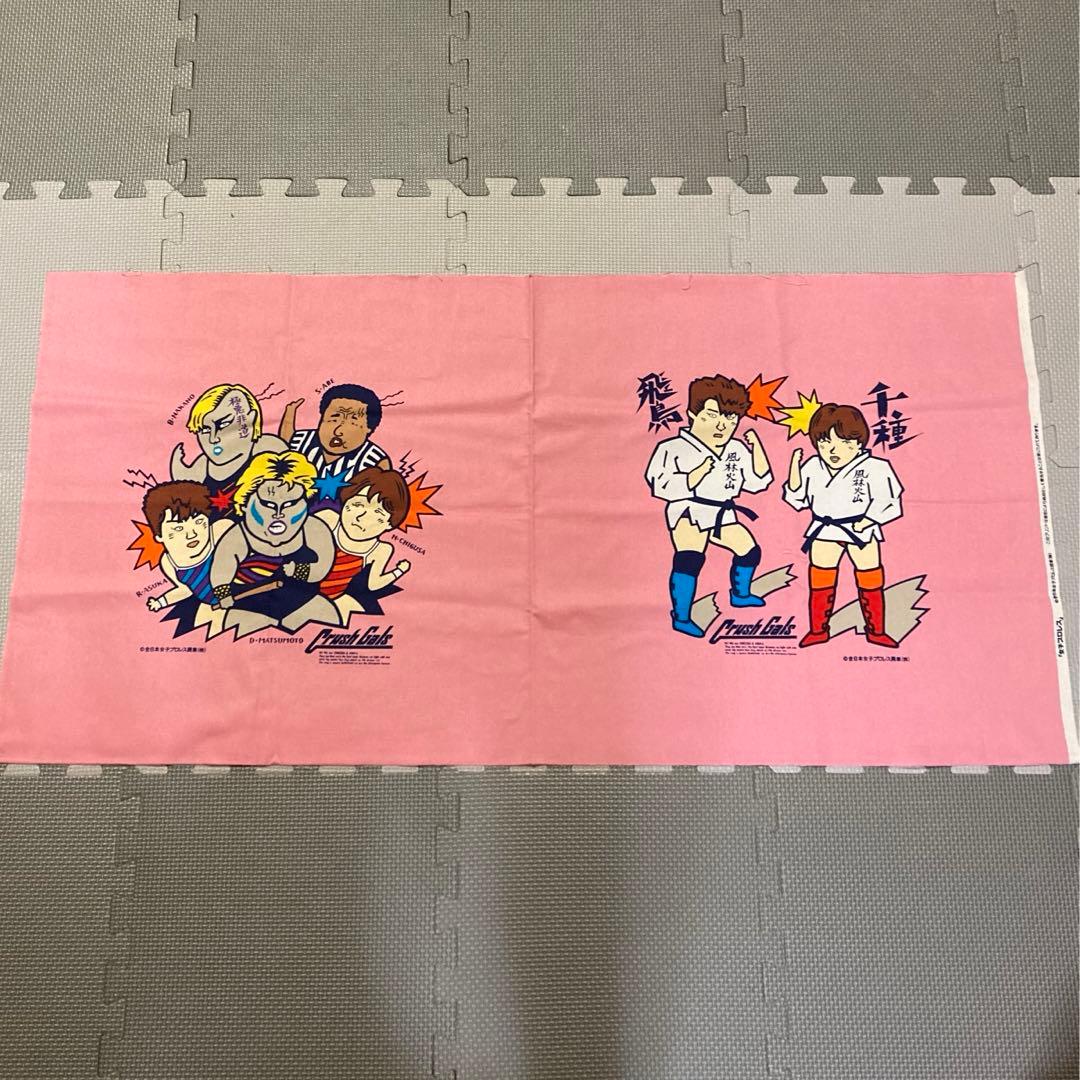 crush gals極悪同盟 全日本女子プロレス　ダンプ松本　ブル中野　昭和