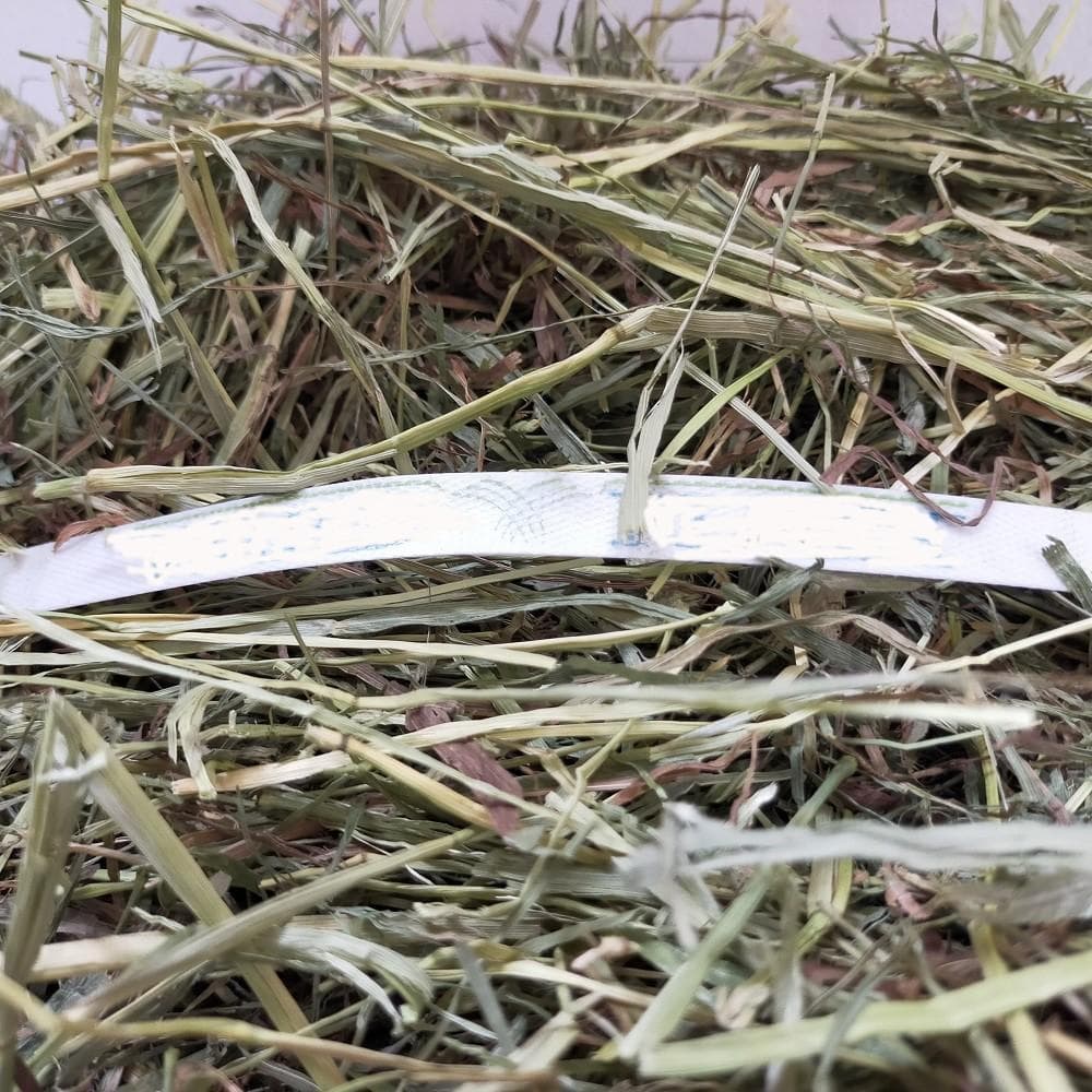 【家計応援価格】US産 チモシー 100kg ２番刈 ソフトSプレミアム