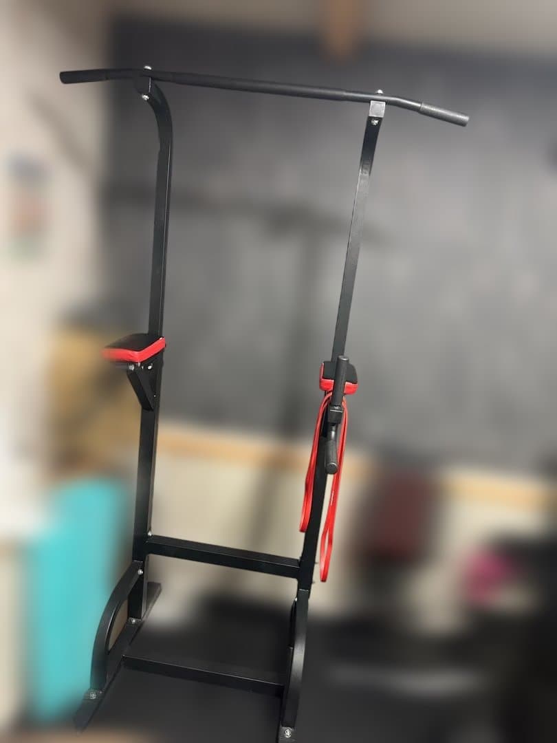 BangTong&Li 懸垂マシン ディップス可 耐荷重150kg 直接引き取り