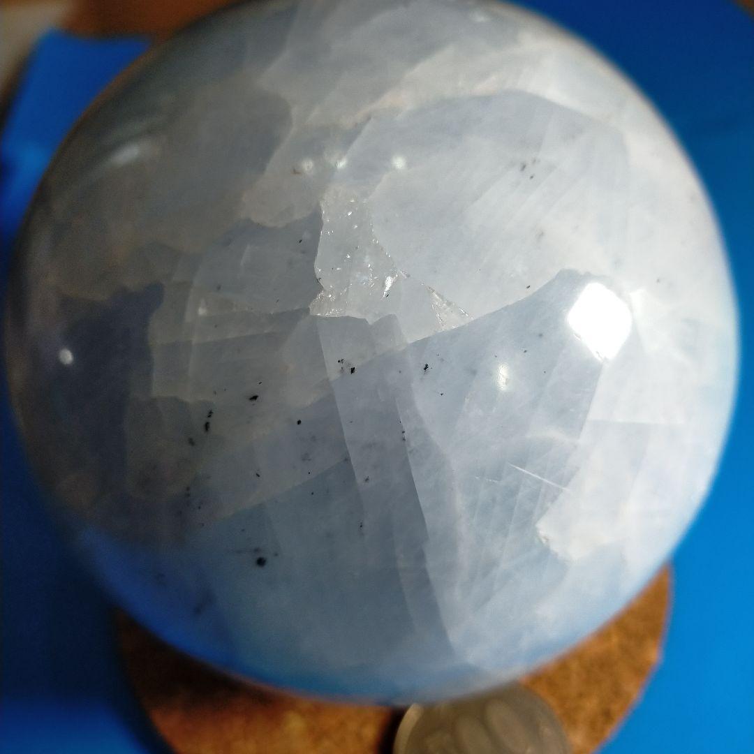 ブルーカルサイト　自信持てるようサポート(購入者特典有り)