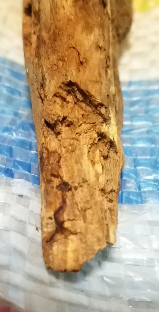 骨董品　天然　香木　伽羅原木　ラオス