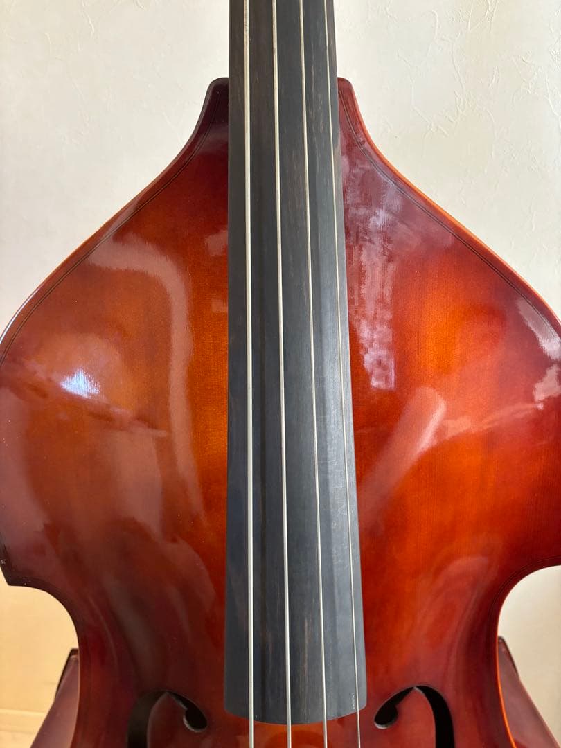 カルロジョルダーノ SB-150 ソフトケース付き　（直接取引限定）