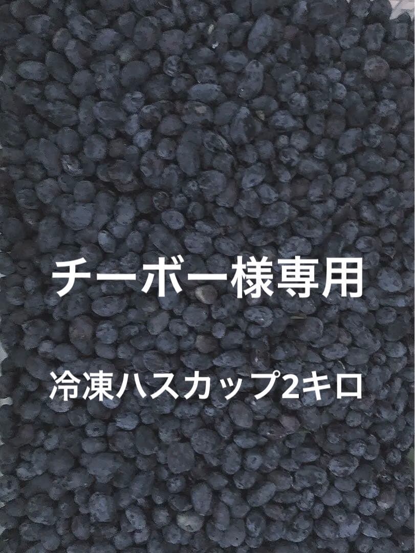 チーボー冷凍ハスカップ2キロ★