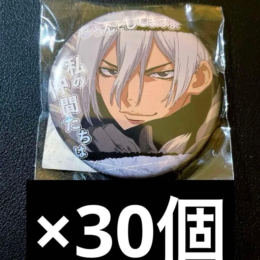 dr.stone アニメイト限定 台詞 缶バッジ 暁 氷月 30個