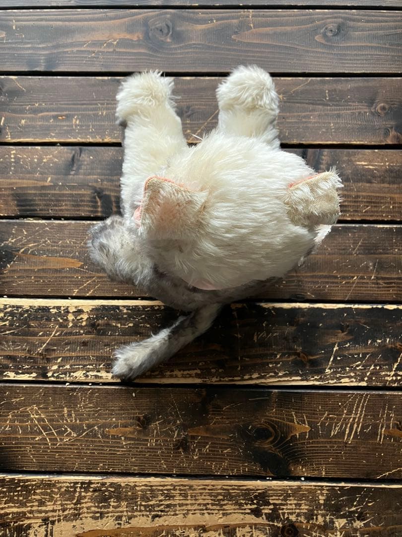 1940〜50s ニッカーボッカー　猫　Kitty Kuddles 超美品