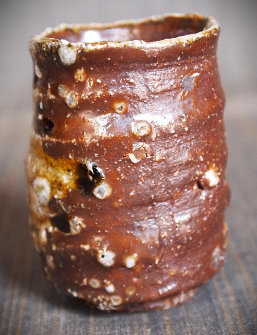 新作★迫能弘【師：辻清明】★赤信楽《窯変》酒器★ビードロ