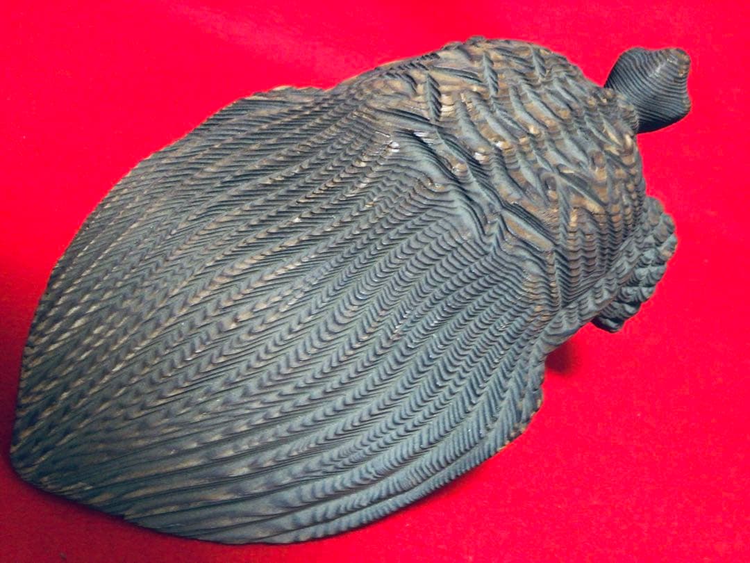 ◉逸品◉数寄屋造りの名棟梁〓平田雅哉◉一刀彫・木彫〓亀・千寿亀・蓑亀◉26cm